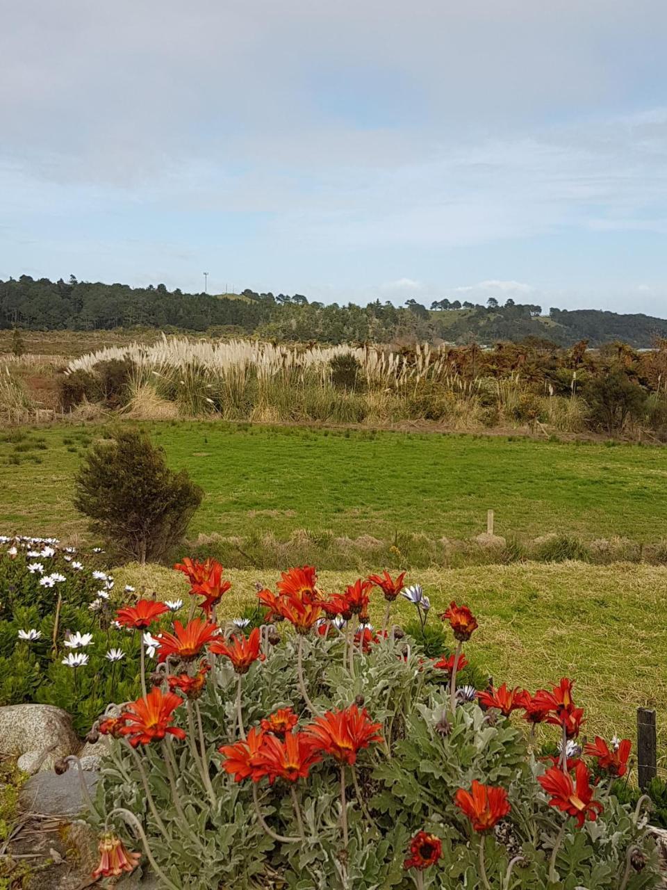 Hôtel The Little Farm Coromandel Extérieur photo