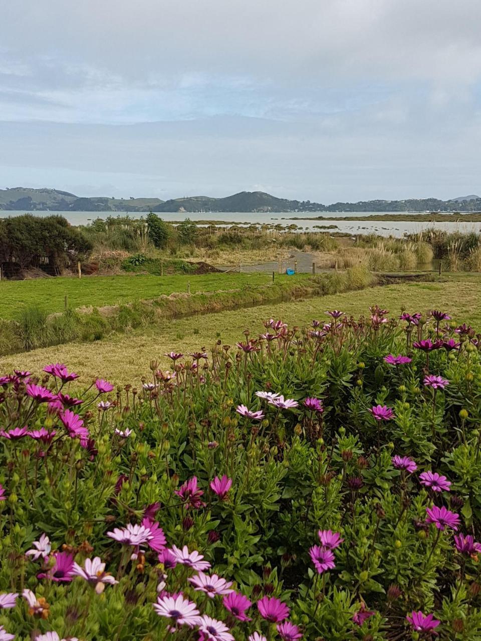 Hôtel The Little Farm Coromandel Extérieur photo